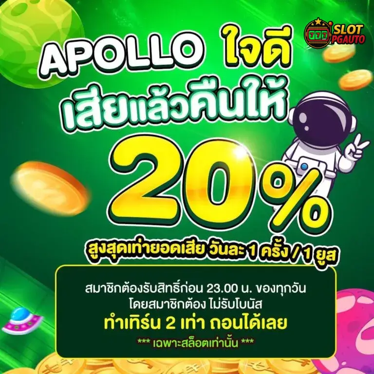 เสียแล้วคืนให้ 20 %