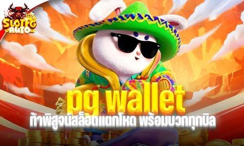 pg wallet