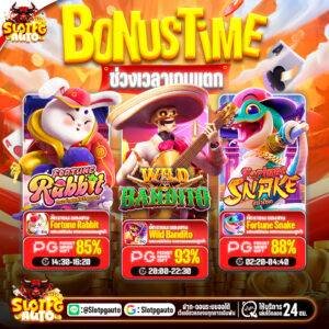 แนะนำโปร06